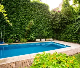 Pool Renovation (3)