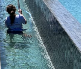IMG 0197 (1)